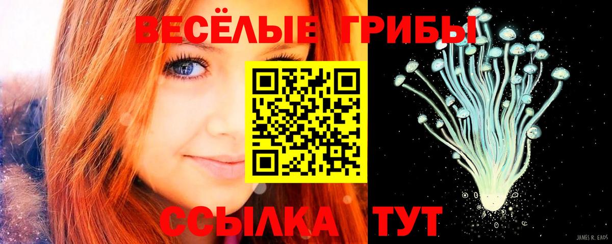 Псилоцибиновые грибы Magic Shrooms  Вход с VPN  Галлюциногенные грибы Magic Shrooms  Назрань 